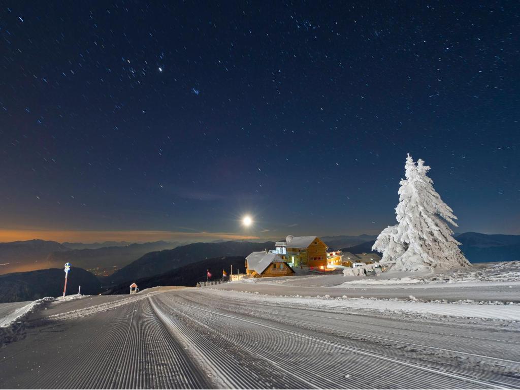Alpinhotel Pacheiner トレフェン エクステリア 写真